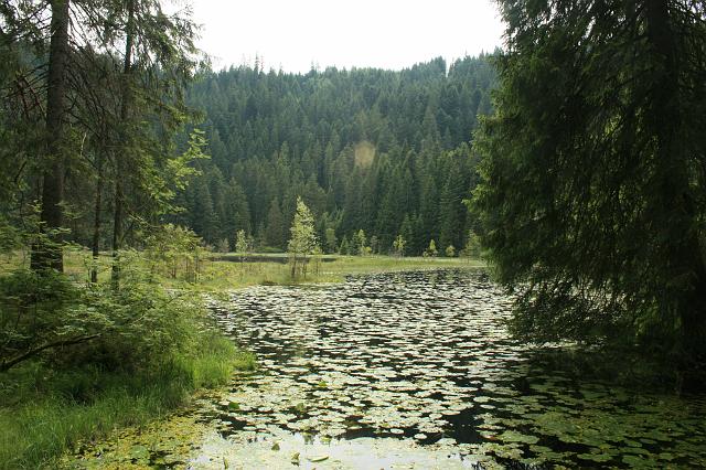 Huzenbacher See 2008 Bild 05